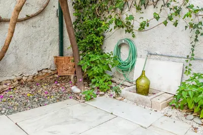 a garden with a green hose and some plants at Athenian Yard Near Acropolis in Athens