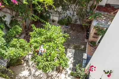 an overhead view of a garden with trees and plants at Athenian Yard Near Acropolis in Athens