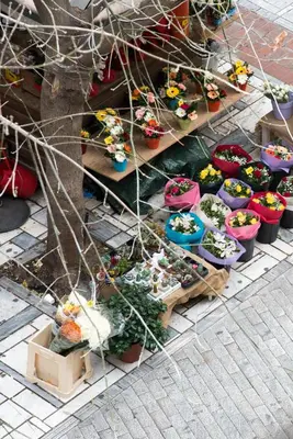 a bunch of potted plants sitting on a shelf at CentraL44 LoL RooM-Ermou Street in Athens