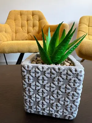 a plant sitting on a table with two chairs at Johns Cozy apartments -10 min from Athens Airport Self Check-In! in Spáta
