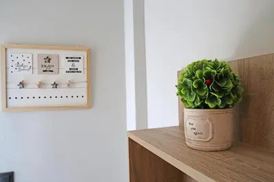 a potted plant sitting on a shelf next to a picture at Johns Cozy apartments -10 min from Athens Airport Self Check-In! in Spáta