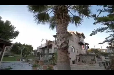 a palm tree in front of a building at Stone Villa Lagonisi in Lagonissi