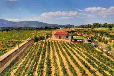 an aerial view of a vineyard with a house at Villa Evinoi in Pallíni