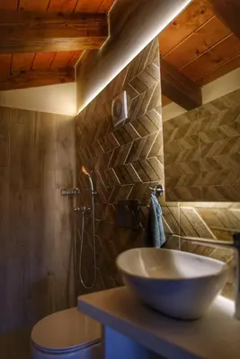 a bathroom with a bowl sink and a shower at Villa Evinoi in Pallíni