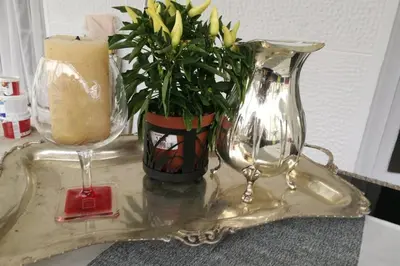 a tray with a candle and a vase with a plant at Dream apartment in Athens