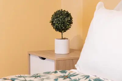 a potted plant on a table next to a bed at Acropolis Sweet House 3 in Athens