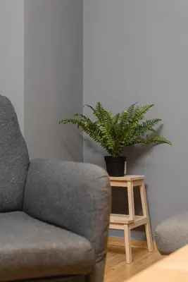 a living room with a chair and a plant on a table at Athenian Stylish Living in Athens