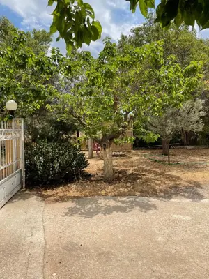 a tree in a yard next to a fence at blue cielo sunny apartment in Palaiá Fókaia