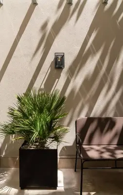 a chair and a potted plant in front of a wall at Kinglin Luxury Living in Athens