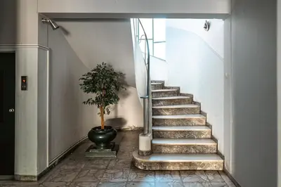 a stairway with a potted plant and a stair case at Entire Apartment - Heart of Athens in Athens