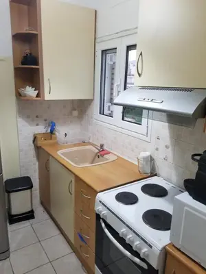 a kitchen with a stove and a sink at ENILION ATHENS , CITY CENTER WITH VIEW TO ACROPOLIS in Athens