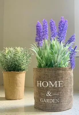 two vases with plants in them sitting on a table at Luxury Flat in Hilton, 3' from metro, VFM! in Athens