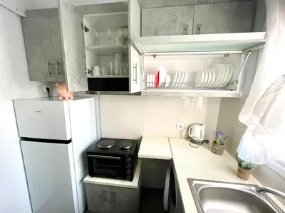 a small kitchen with a refrigerator and a sink at Luxury Flat in Hilton, 3' from metro, VFM! in Athens
