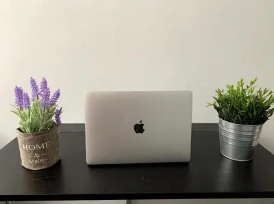 a laptop computer sitting on a table with two potted plants at Luxury Flat in Hilton, 3' from metro, VFM! in Athens