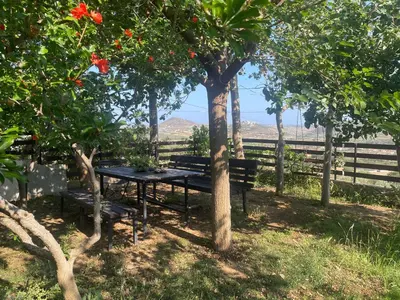 a picnic table under a tree next to a fence at the garden house in Dhaskalión