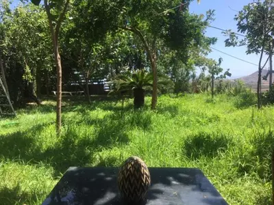 a pineapple sitting on a table in the grass at the garden house in Dhaskalión