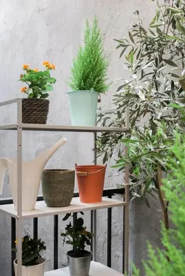 a shelf with potted plants on it next to a wall at Fashionable Base in Central Athens in the Old Tailor Factory in Athens