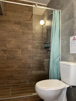 a bathroom with a toilet and a shower at Athena Βright & New Studio - 25' walk to the Acropolis in Athens