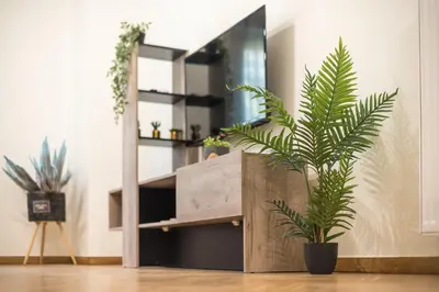 a potted plant in a room with a mirror at Elegant Suite by CloudKeys in Athens