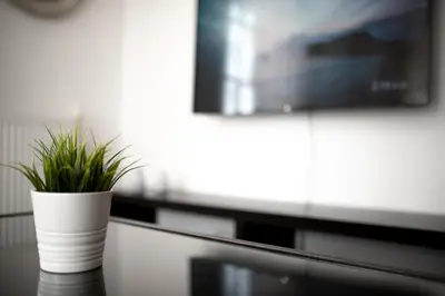 a plant in a white vase sitting on a table at markopoulo-apartmets in Markopoulo