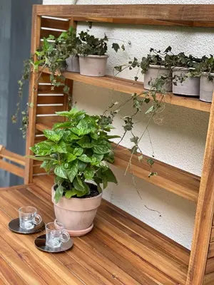 a wooden shelf with pots of plants on it at 1 BedRoom Apt - Live Like A Local In Kolonaki in Athens