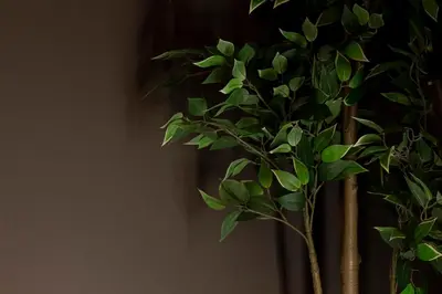 a green plant in a vase next to a wall at Luxury apartment 10’ from the center! in Athens
