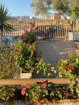 a bunch of flowers in front of a wooden fence at La casa de PortoRafti in Porto Rafti