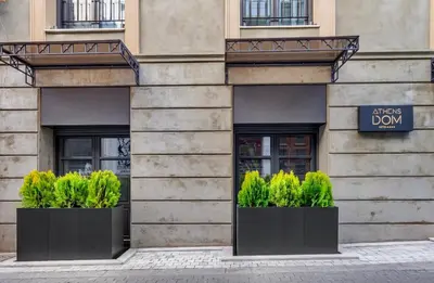 two black pots with plants in front of a building at Athens Dom Hotel in Athens