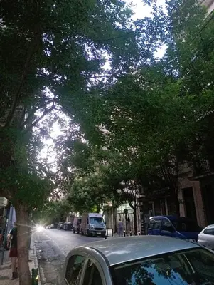 a street with cars parked on the side of a tree at Athens Neoclassical in Athens
