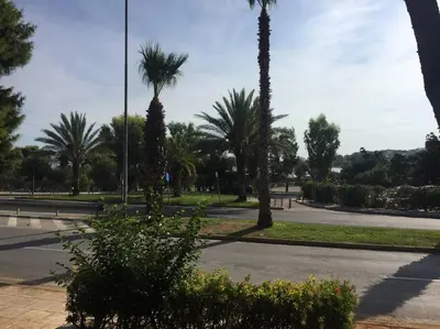 a street with palm trees in a park at Cute 1bd Apartment at Vouliagmeni in Athens