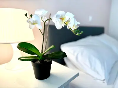 a potted plant sitting on a table next to a bed at Sun Beach Apartment in Anavissos