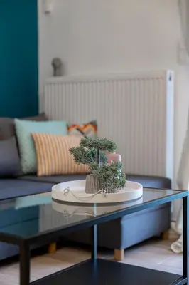 a bonsai tree on a coffee table in a living room at Calliope Apartment in Athens