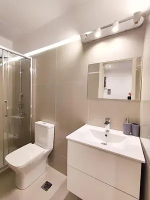 a bathroom with a toilet and a sink and a shower at Avli apartment in Athens