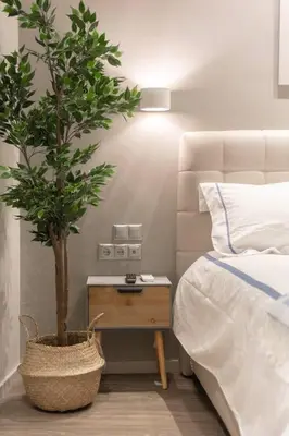 a bedroom with a potted tree next to a bed at A11 Pristine & comfy studio near Plaka & Parthenon in Athens