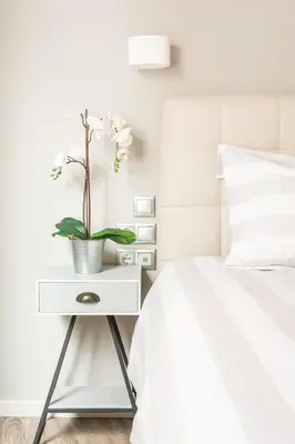 a white side table with a plant on it next to a bed at A17 Modern & Cosy 2Room flat up to 4ppl near Parthenon, 1Bedroom 1livingroom in Athens