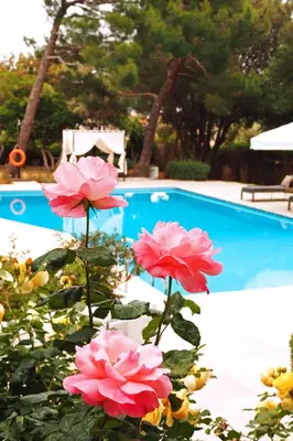 a group of pink flowers in front of a swimming pool at Villa Oasis with Large Pool Athenian Riviera Lagonissi in Lagonissi
