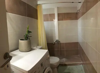 a bathroom with a toilet and a shower with a plant at Cosy apartment in Metaxourgeio in Athens