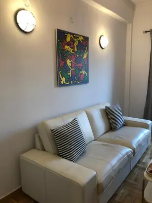 a couch in a living room with a painting on the wall at Cosy apartment in Metaxourgeio in Athens