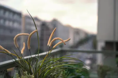 a plant with white flowers next to a railing at Museum Apartment - Fix A, Athens in Athens