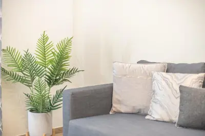 a living room with a couch and a plant at Easy Living Suite by Cloudkeys in Athens