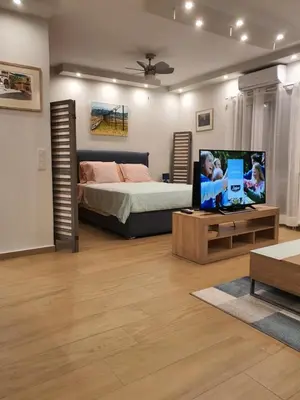 a bedroom with a bed and a tv on a table at Tony's suite with parking in Athens