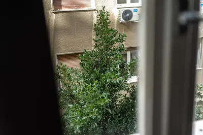 a tree in front of a building with a window at Lovely apartment in the heart of Athens in Athens