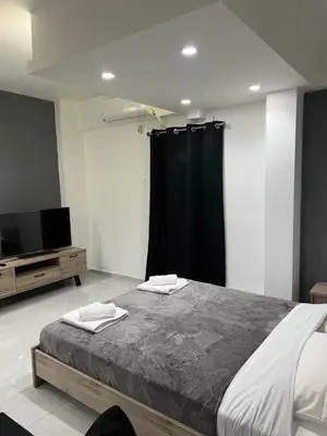 a bedroom with a large bed and a television at Thiseio Residence- Studio 55 in Athens