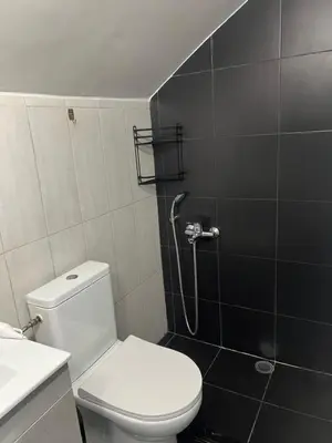 a bathroom with a toilet and a shower at Thiseio Residence- Studio 55 in Athens