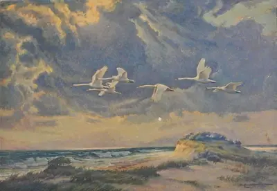 a painting of white birds flying in the sky at ΟΔΥΣΣΕΙΑ, κοντά σε αεροδρόμιο, λιμάνια και θάλασσες in Keratea