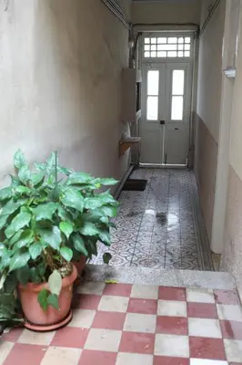 a hallway with a potted plant on the floor at Όμορφο διαμέρισμα σε διατηρητέο κτίσμα στην Αθήνα in Athens