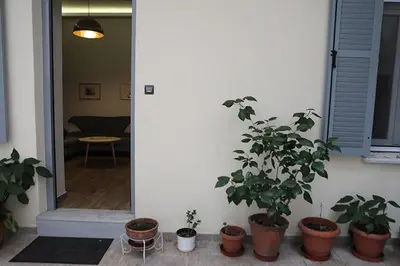 a group of potted plants sitting in a room at Όμορφο διαμέρισμα σε διατηρητέο κτίσμα στην Αθήνα in Athens