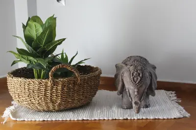a statue of a donkey next to a potted plant at Suite 2 Bedrooms in Athens