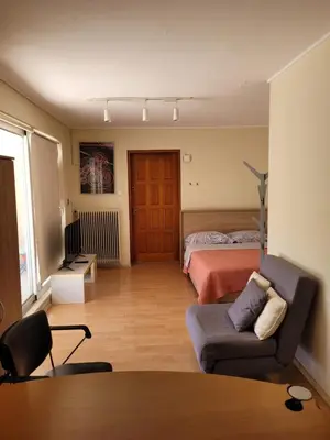 a living room with a bed and a couch at Agia Paraskevi luxury loft in Athens