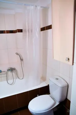 a bathroom with a toilet and a shower at Ageliki's Athens Apartment in Athens